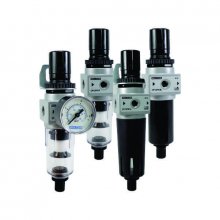 Filtro Regulador Mini